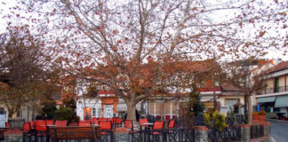 Μ. Φανουράκης: Οι κάτοικοι της Σταυρούπολης «μπαλάκι» της αντιπολίτευσης