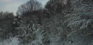 Ξεκίνησε ο «Λέανδρος» στα ορεινά του Λειβαδίτη