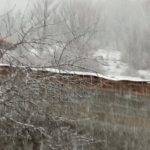 IMG-4ac81a1c017b73bb036e7ac4f42d6ebb-V