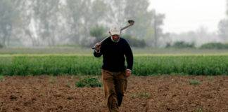 Αγρότες : Τι ισχύει για τη «μετάκληση» πολίτη τρίτης χώρας για εποχικές εργασίες