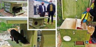 Δήμος Θάσου: Ξύλινα σπιτάκια για τα αδέσποτα ζώα