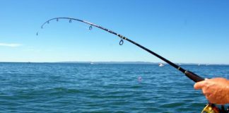 Λιμεναρχείο Π. Λάγος: Επιτρέπεται το ψάρεμα, αλλά με την προϋπόθεση προσέγγισης του σημείου μόνο με ποδήλατο ή… με τα πόδια!
