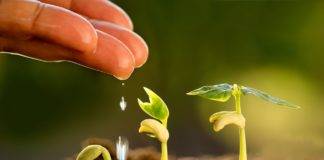 Ιππ. Καμαρίδης: Έμφαση στο θέμα της Οικολογίας –Προτεραιότητά μας ο βιολογικός στην Σταυρούπολη