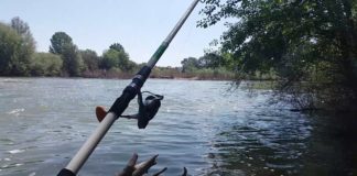 Απαγορεύεται το ψάρεμα στους ποταμούς του Ν. Ξάνθης – Αναλυτικά η απόφαση