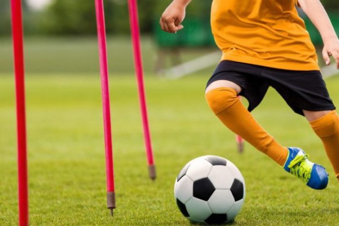 a98565d8-professional-soccer-field-size-750x500-1
