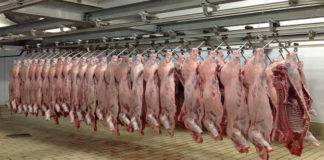 Η Διεύθυνση Κτηνιατρικής της ΠΑΜΘ για την σφαγή και αγοραπωλησία ζώων ενόψει του Κουρμπάν Μπαϊράμ