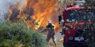 Ευχάριστα νέα: Υπο πλήρη έλεγχο τέθηκε η φωτιά στην ορεινή Ξάνθη