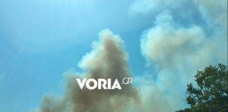 Φωτιά στο Παγγαίο – Συναγερμός στην πυροσβεστική