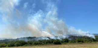 Συμβαίνει τώρα: Φωτιά στο δάσος της Νυμφαίας