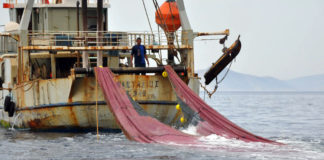 Γ. Μανιός: Σε λίγο θα ανάβουν…κερί στο Άγιο Όρος– Κινδυνεύουμε με αφανισμό