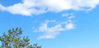 Η φωτιά στα τουριστικά τρενάκια και η «θωράκιση» της κινητής περιουσίας του Δήμου Ξάνθης