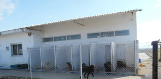 Μ. Τσέπελης: Παίρνει μπροστά το Δημοτικό Κυνοκομείο Ξάνθης- Στη φάση ιατρικού εξοπλισμού οι νέες εγκαταστάσεις