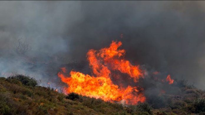 Καταγραφή