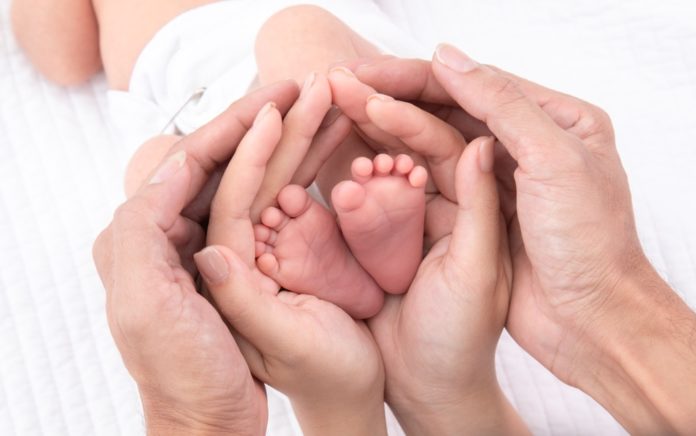 Beautiful,Shape,Hands,Of,Father,,Mother,,Hold,Tiny,Newborn,Baby