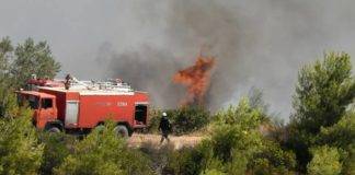 Δυο μεγάλες και τρεις μικρότερες φωτιές, μέσα σε μια μέρα, στην Ξάνθη – «Ξανάναψε» το Κοτζά Ορμάν