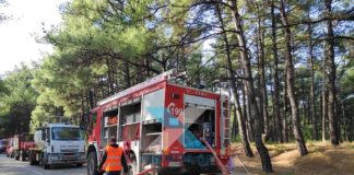 Πυρκαγιά τα ξημερώματα στο δάσος Νυμφαίας