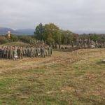 IMG_20211105_094314-web-web