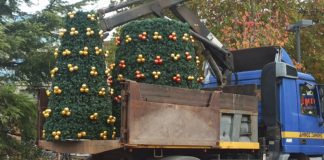 Την Δευτέρα θα στηθεί στην πλατεία το Χριστουγεννιάτικο Δένδρο – Στις 7 Δεκεμβρίου η φωταγώγησή του