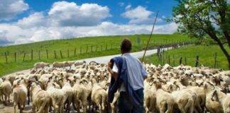 Παράσταση διαμαρτυρίας των κτηνοτρόφων στην ΠΑΜ-Θ για θέματα του κλάδου τους