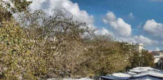 Η Ν.Ε ΣΥΡΙΖΑ Ξάνθης για το νομοσχέδιο που αφορά τις λαϊκές αγορές