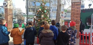Στολίζονται τα φυσικά δέντρα στην «Ευχούπολη» Ξάνθης, από μαθητές Δημοτικών Σχολείων