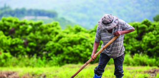 Κ. Δαλάτσης: Κόστος παραγωγής, ηλεκτρονικά ενοικιαστήρια, ΑΤΑΚ και κόστος ζωοτροφών, τα βασικά αιτήματα των αγροτοκτηνοτρόφων