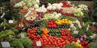 ΕΛΣΤΑΤ: Αύξηση 8,2% στην αξία των εξαγωγών φρούτων και λαχανικών το επτάμηνο του 2024