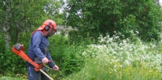 Δήμος Ξάνθης: Καλεί τους δημότες να καθαρίσουν τα οικόπεδά τους, ενόψει της αντιπυρικής περιόδου