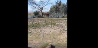 Υπερπτήση Ειρήνης στο Μυρωδάτο