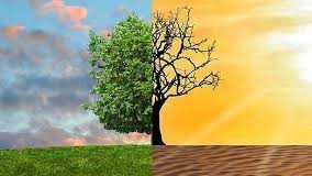 Ο Ρόλος της Περιφέρειας στην Μετάβαση στην Κλιματική Ουδετερότητα και στην Προσαρμογή στην Κλιματική Αλλαγή