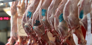 Γ. Λεχουρίτης: Τιμές «κράχτες-παγίδα» και αισχροκέρδεια στους παρόχους ενέργειας