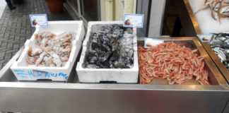 Σπ. Κουτσομιχάλης: Καιρός, προσφορά και ζήτηση αυξομειώνουν τις τιμές των αλιευμάτων- Μειωμένη η κατανάλωση