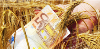 ΟΠΕΚΕΠΕ: Μέσω gov.gr οι επιδοτήσεις των αγροτών