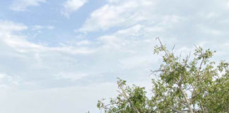 Ολική καταστροφή σε χωριά του Δήμου Τοπείρου