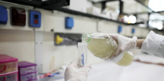 Μιχ. Κουρέας: Υπάρχει μία αλλαγή προς τα πάνω- Παραμένει να δούμε πόσο επίμονη θα είναι αυτή