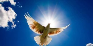 Αγίου Πνεύματος: Μεγάλη γιορτή για την Ορθοδοξία – Τι γιορτάζουμε σήμερα, Δευτέρα 13 Ιουνίου