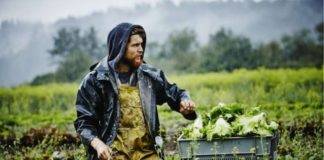 Νέα επιτυχία της Περιφέρειας ΑΜΘ: Εξασφαλίστηκαν 45.500.000 για τους νέους αγρότες