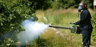 Κουνούπια: Εγκρίθηκε η ακμαιοκτονία-Περιμένουμε να μειωθεί το πρόβλημα