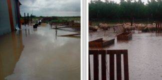 Πλημμυρισμένες σταβλικές εγκαταστάσεις και χωράφια, άφησε η «GENESIS» στην Ξάνθη (Φωτό)