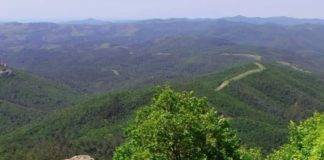 Εθνικό Πάρκο Δαδιάς: Αυτό είναι το παρθένο δάσος που καίγεται – Τα σπάνια αρπακτικά πουλιά και τα μοναδικά τοπία