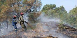 Έβρος: Τρίτη ημέρα μάχης με τις φλόγες στη Δαδιά