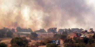 Φωτιά στη Δαδιά: Συνεχίζεται για 8η μέρα η μάχη με τις φλόγες – Στάχτη 40.000 στρέμματα