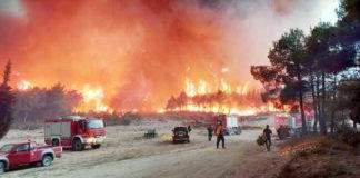 Οικολογικός όλεθρος στο δάσος της Δαδιάς – Κάηκαν ήδη περίπου 15.000 στρέμματα