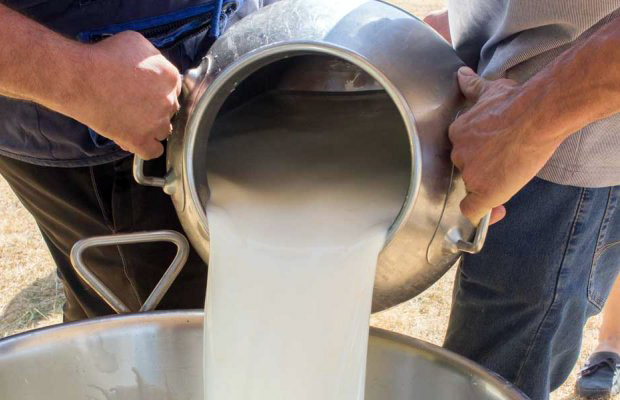 photo_694303564_milk