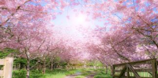 Αγροτουρισμός: Ξεκινούν οι αιτήσεις ενίσχυσης που ανέρχονται σε 49 εκατ. ευρώ- Ποιοι είναι οι δικαιούχοι