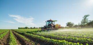 Ολοκληρώθηκε με επιτυχία η διαδικασία υποβολής Ενιαίας Αίτησης Ενίσχυσης στο ΟΣΔΕ μέσω του gov.gr