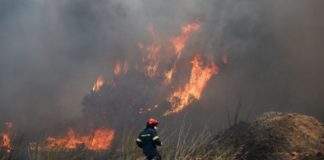 Πολύ υψηλός ο κίνδυνος πυρκαγιάς σήμερα Δευτέρα σε Θάσο και Έβρο