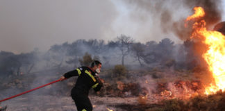 Φωτιά τώρα σε δασική έκταση στη Θάσο – Σηκώθηκαν 4 αεροπλάνα κι ένα ελικόπτερο