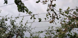 Καλές οι αποζημιώσεις των αγροτών από το χαλάζι, αλλά… τι γίνεται με την αντιχαλαζική προστασία;