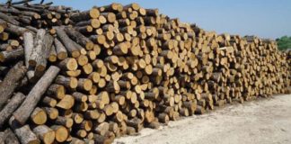 Καυσόξυλα: Εντατικοί έλεγχοι για φαινόμενα αισχροκέρδειας